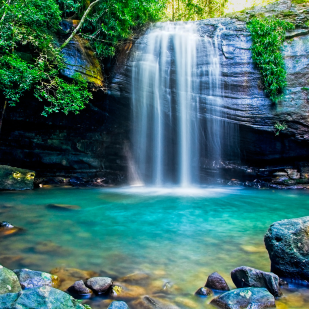 Buderim falls during the day
