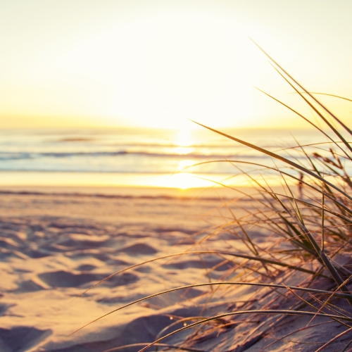 Close up of sand and beach at sunrise