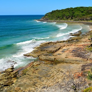 Tea Tree Bay Beach located in Noosa National Park